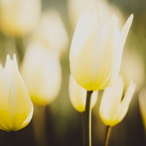 _DSC2818.jpeg