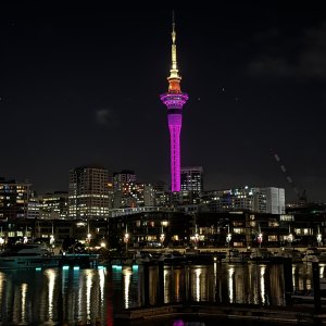 IMG_1140.jpeg