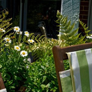 Summertime....And the Livin' is Easy.jpeg