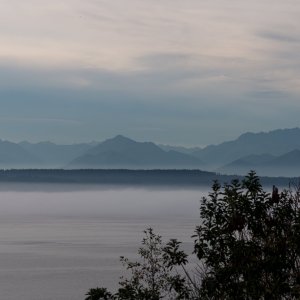 Seattle_IMG_1869.jpg