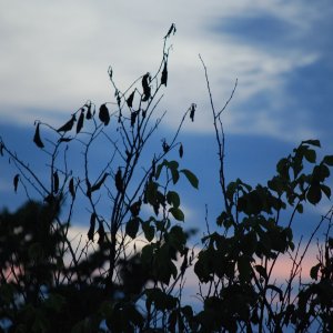 DSC_0212.jpeg