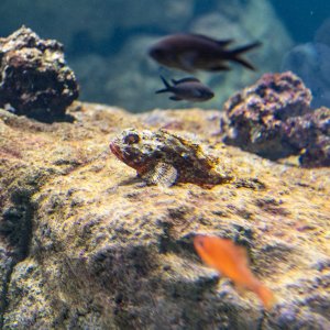 Aquatix - 2500px-8.jpg