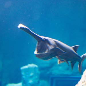 Aquatix - 2500px-15.jpg