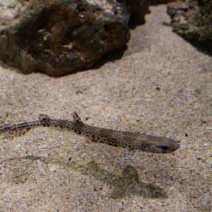 Aquatix - 2500px-5.jpg