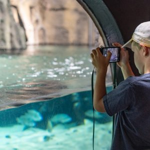 Aquatix - 2500px-22.jpg