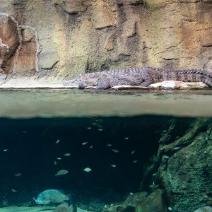 Aquatix - 2500px-24.jpg