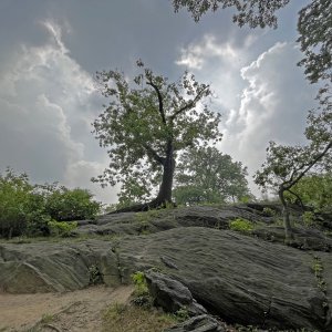 IMG_8502.jpg