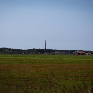 P5023488.jpg