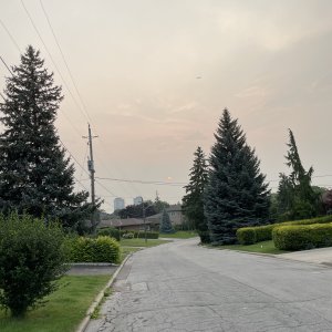 IMG_0508.jpeg