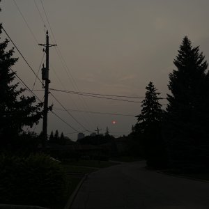 IMG_0509.jpeg