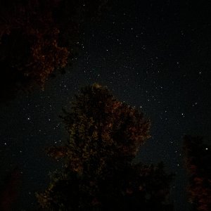 IMG_1541.jpeg