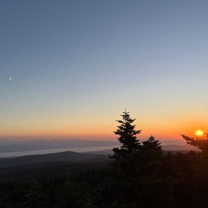 IMG_1027.jpeg