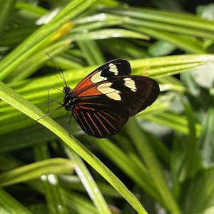 IMG_8494.jpg