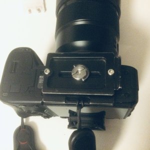 IMG_0123.jpeg