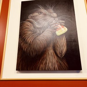 IMG_0799.jpeg