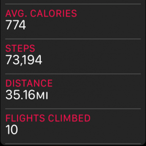 steps.png