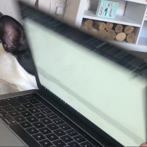 Screenshot 2019-08-28 at 16.10.55.png