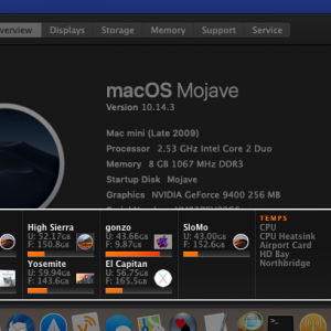 10.14.3 HFS+SSD.png