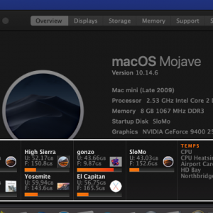10.14.6 APFS SSHD.png