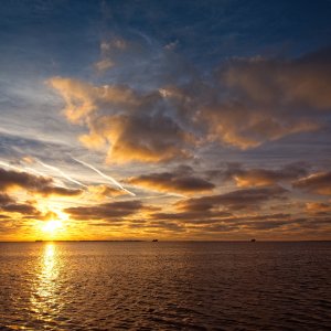 8951197A-5656-413D-BA72-64960DA5C15E.jpeg