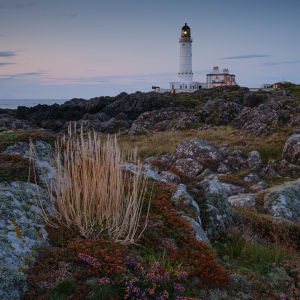 Late Summer Twilight small PL.png
