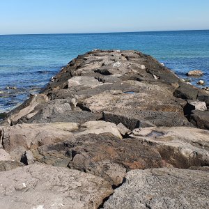 20190902_124559.jpg