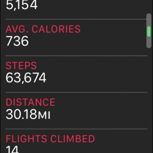 steps.PNG