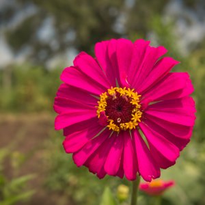 P1000847.jpg