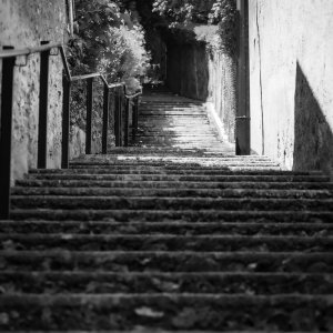 _MG_3156.jpg