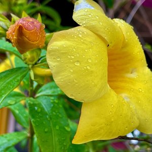 IMG_7975.jpeg