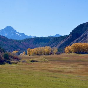 AutumnMeadow01.jpg