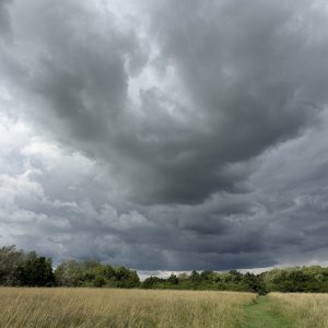 IMG_4337.jpeg