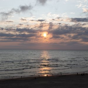 IMG_2201.jpg