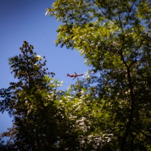 _MG_6862.jpg