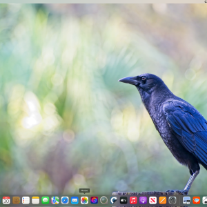 Screenshot 2023-07-30 at 5.59.15 AM.png