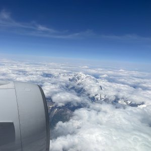 IMG_1703.jpeg