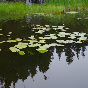 P7140346A.jpg
