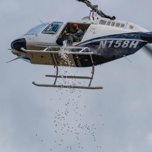 Marshmellow Drop -2500px-31.jpg