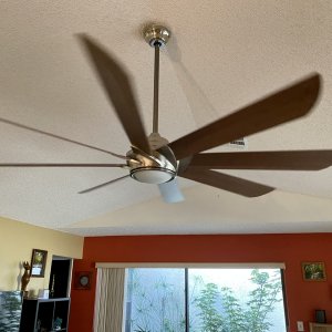 IMG_1811.jpeg
