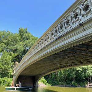 IMG_8708.jpeg