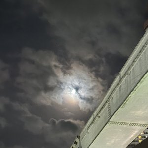 IMG_5015.jpeg