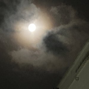 IMG_5016.jpeg