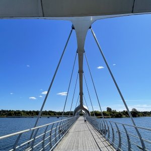 IMG_0214.jpeg