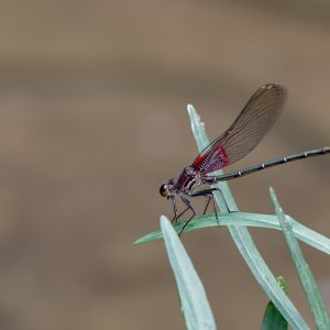 P10007362.jpg