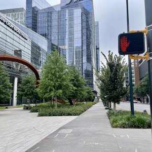 IMG_3430.jpeg
