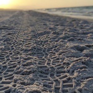 tracksonthebeach.jpg