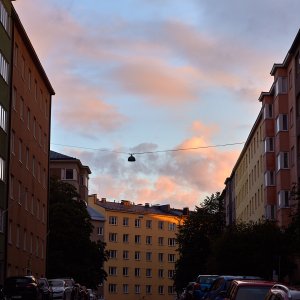 2023-07-31 ~ _R5_4545.jpg