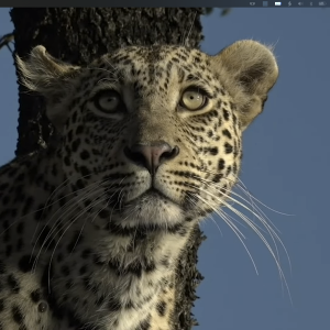 Screen Shot 2023-08-07 at 1.50.51 PM 2.png