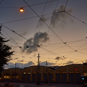 2023-08-08 ~ _R5_6778.jpg