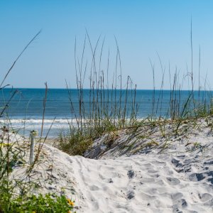 Jacksonville - 2500px-14.jpg